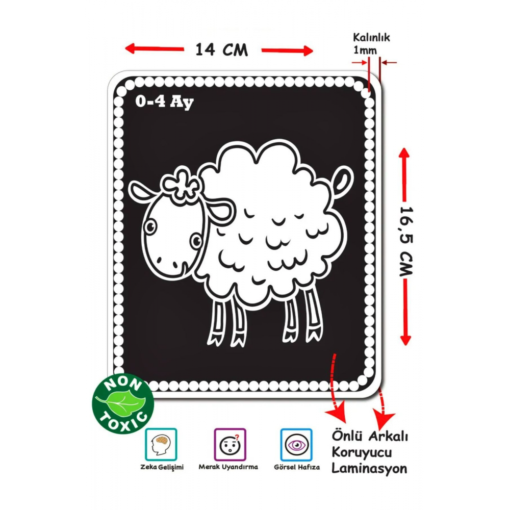 Diytoy Bebeğimin Ilk Zeka Kartları Flash Cards