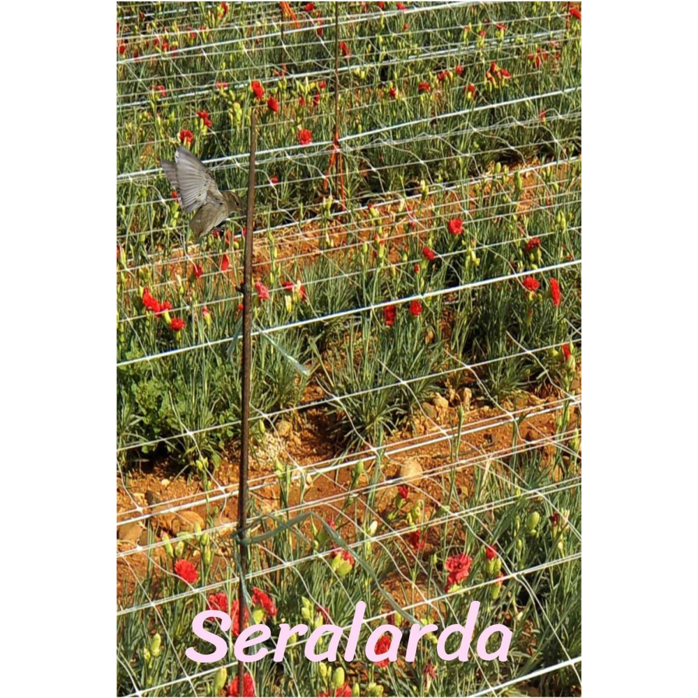 Balkon Filesi 2,5x5 Metre Kuş Filesi Kedi Filesi Güvercin Önleme Ağı