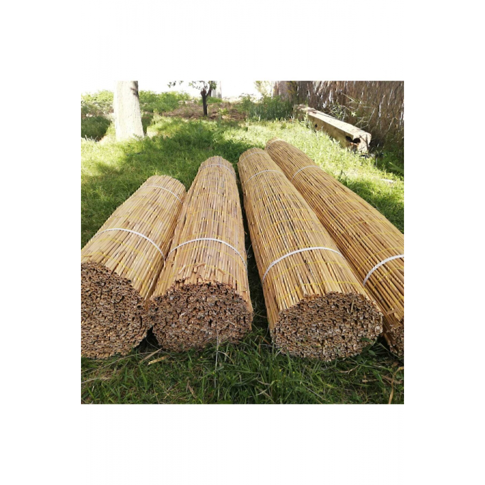 Kamış Hasır 2,00×3,00 m