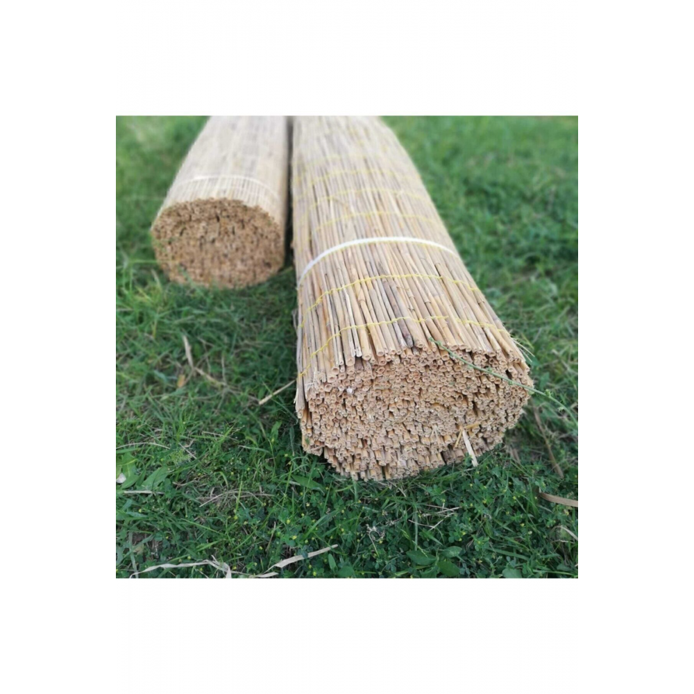 Kamış Hasır 2,00×3,00 m