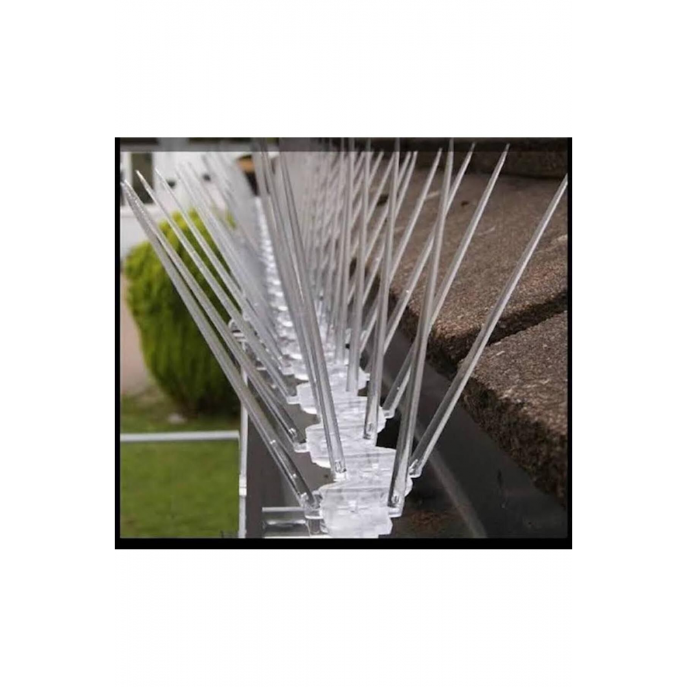 Plastik 1 Adet 50cm Şeffaf