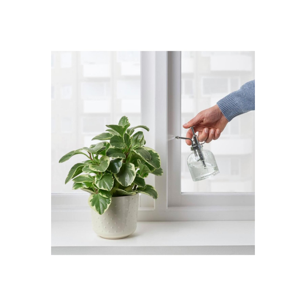 Sesamfrön 25 Cl 16 Cm Sulama Sprey Şişesi Saksı Çiçek Bitki Bahçe Cam Sulama Kabı Şişesi