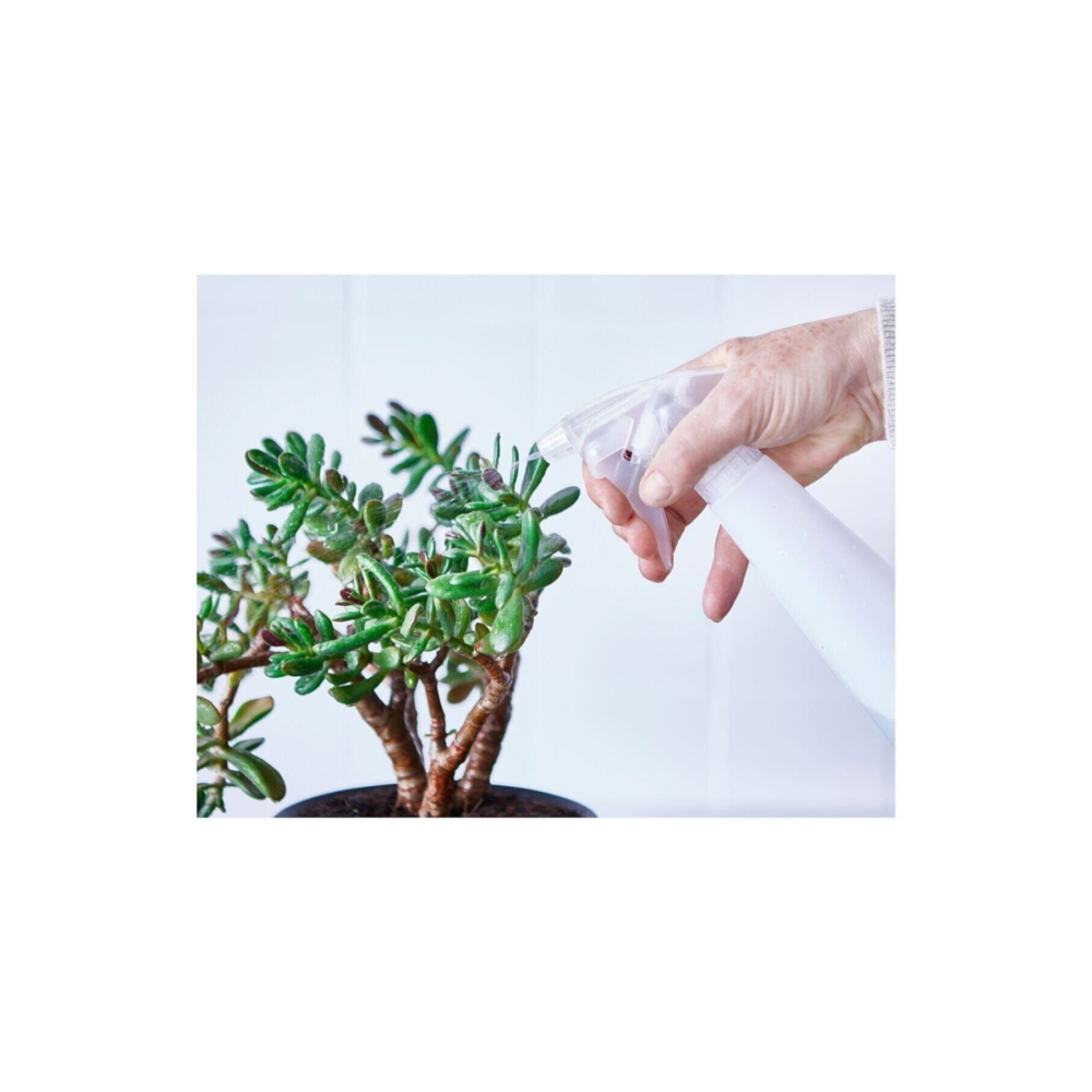 Tomat Sprey Şişesi | Fısfıs Çiçek Sulama Su Sprey Şişesi | Çok Amaçlı Sprey Su Şişesi - 1 Adet