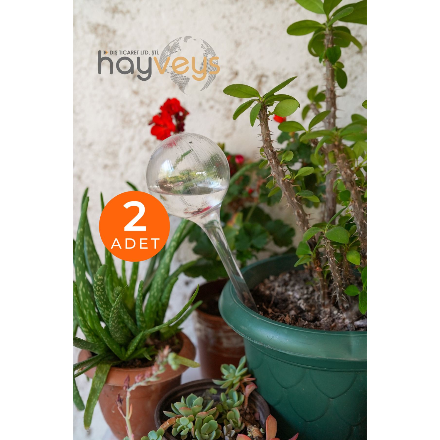 Plastik, 2 Adet Çiçek Bitki Sulama Saksı Suluğu Aparatı Otomatik Ve Kontrollü Sulama