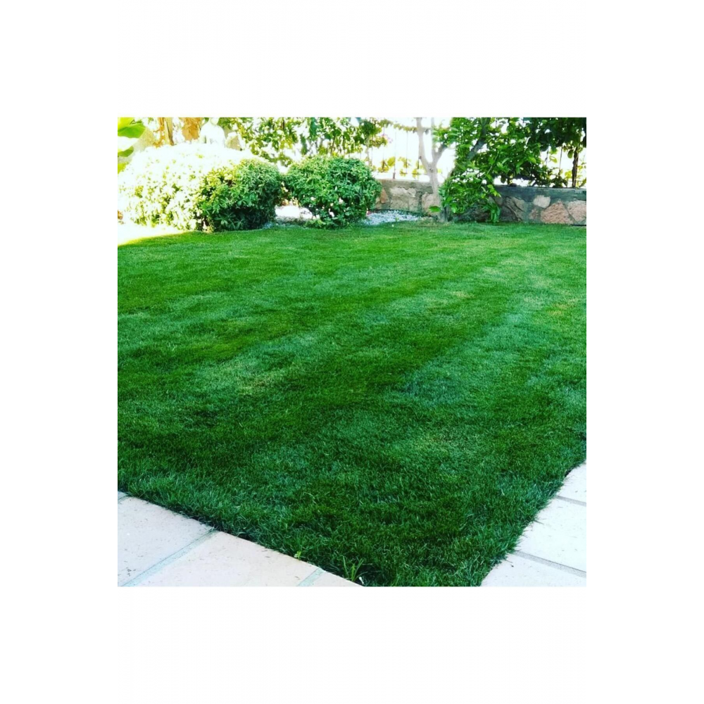 Amonyum Sülfat Şeker Gübresi Çim Gübresi 5 Kg