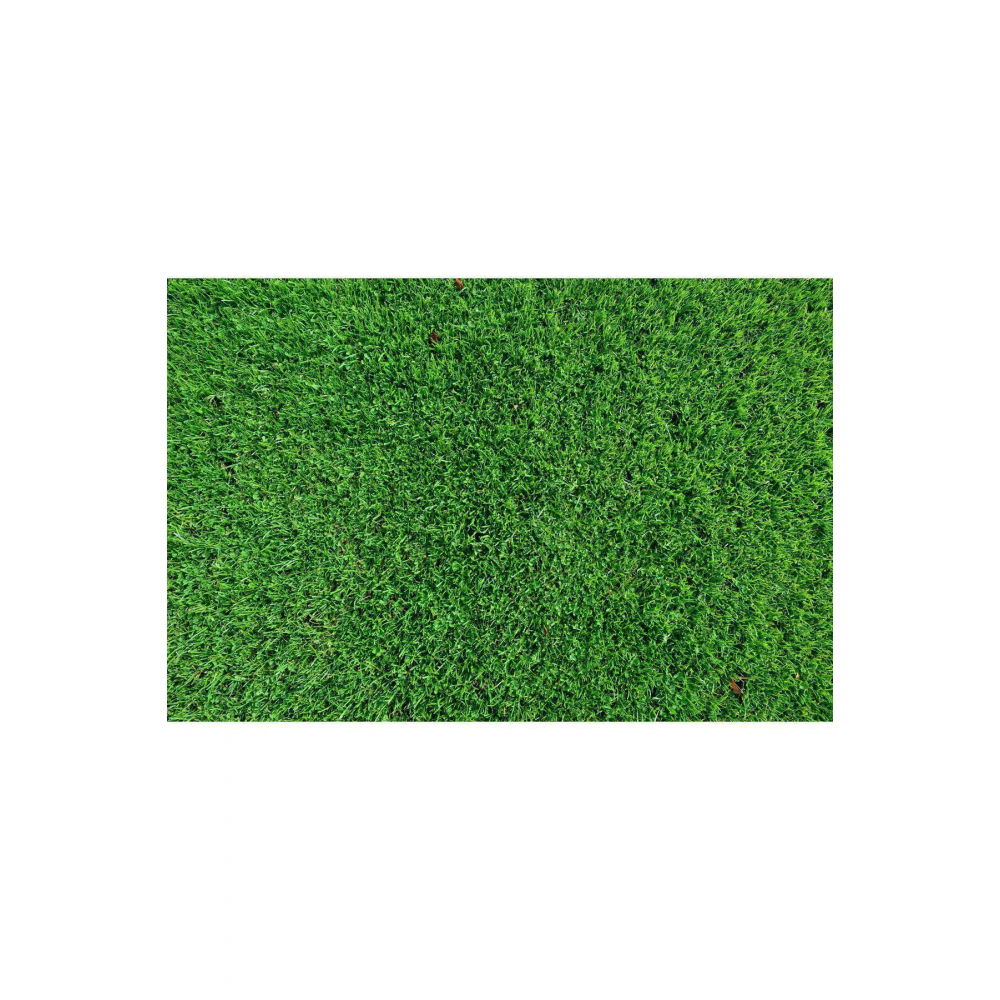 Çim Gübresi Çiçek Çoşturan Şeker 1 Kg Azotlu Çim Coşturan Bitki Coşturan Bitki Geliştirici