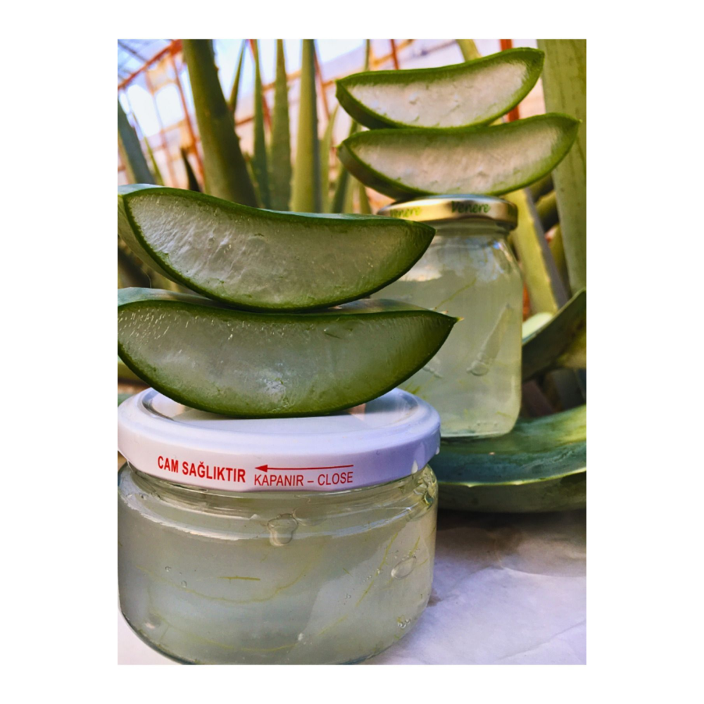 Aloe Vera Jel, Alovera Jel için 500 gr Aloe Vera Yaprak Doğal
