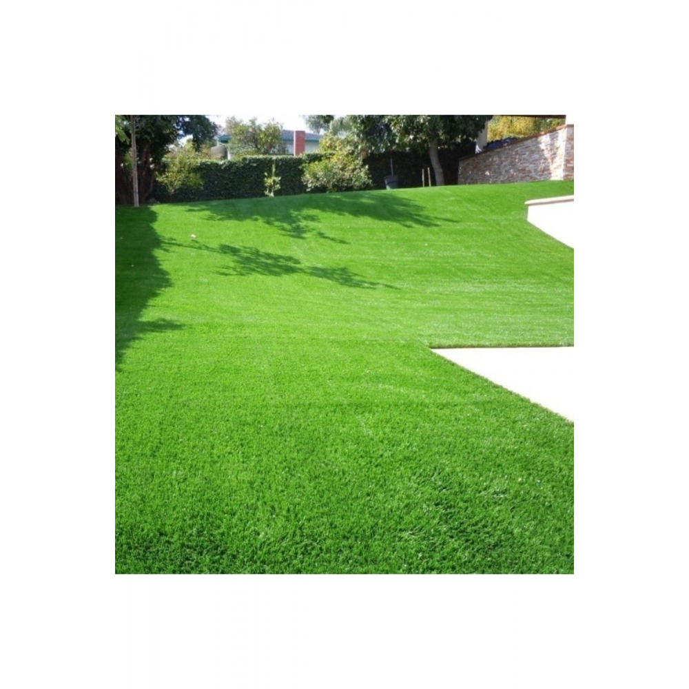 İthal Çim Tohumu Özel 6 Lı Karışım Basmaya Dayanıklı 7 Günde Çimlenir 1 Kg