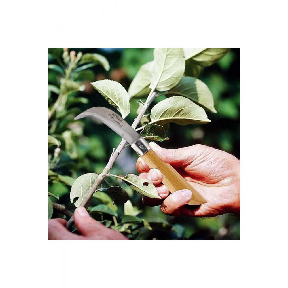 Aşı Bıçağı Profesyonel Çelik Eğri Uçlu Bağ Ağaç Budama Aşı Çakısı 210 mm Saplı Bıçak Çakı