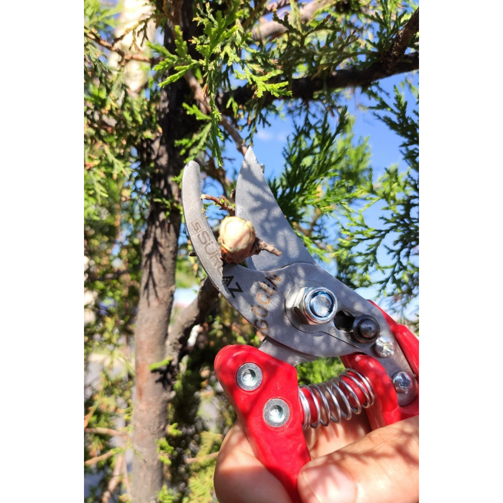 Bağ Budama Makası Bahçe Makası