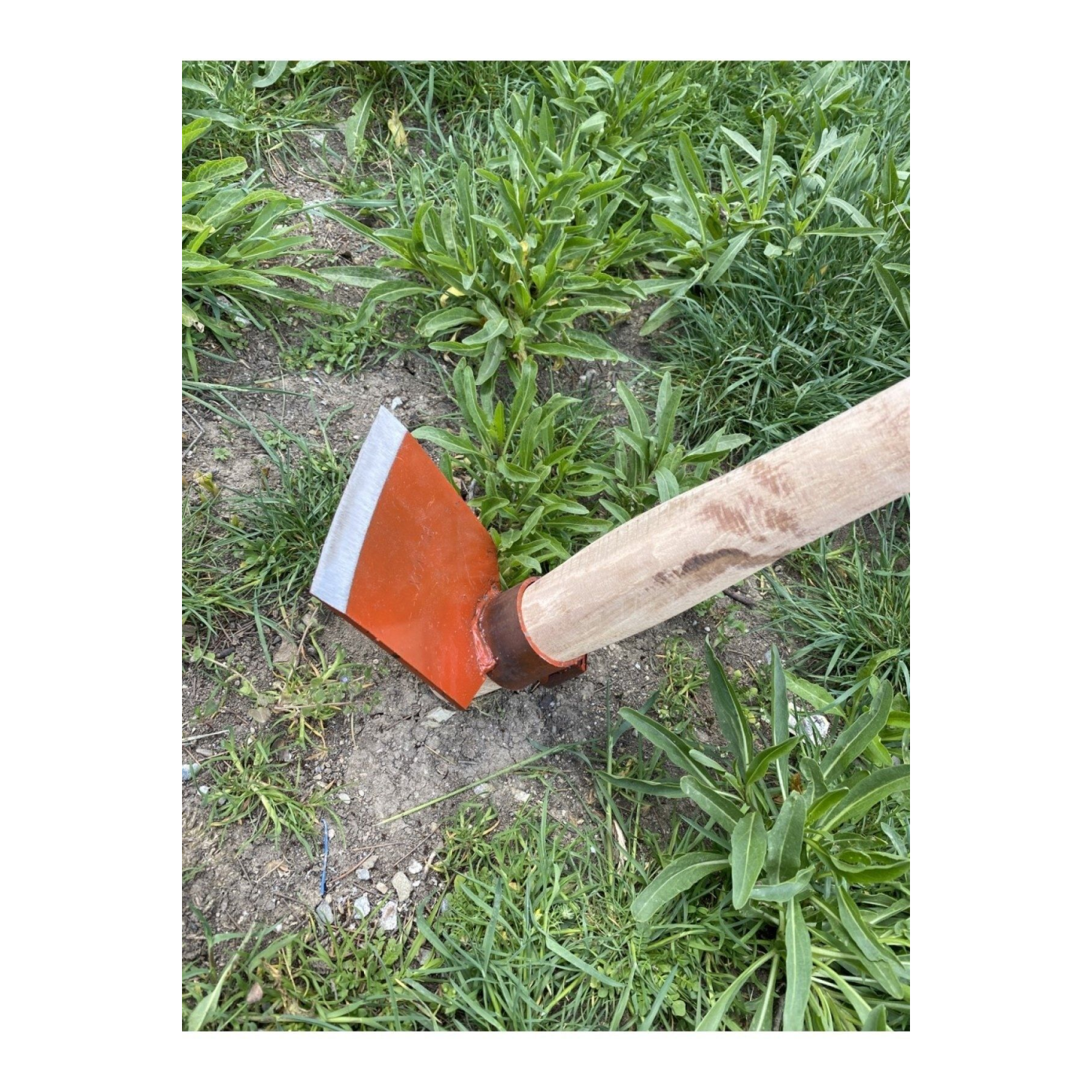 Çapa Düz Uclu Saplı, Gürgen Sap, Çapa Iki Uclu Sivri, Düz,salatalık Fidesi Dibi Açmak Için