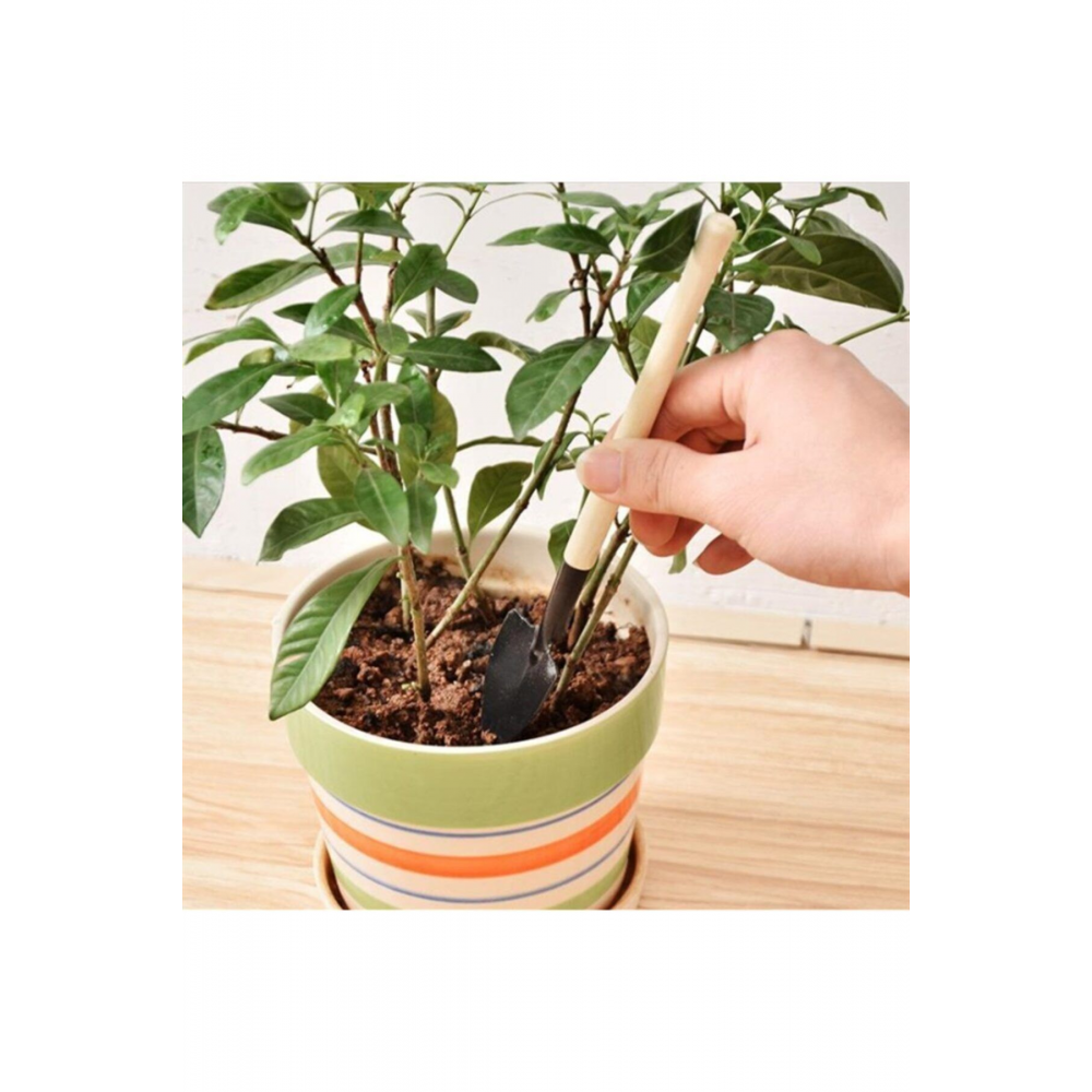 Wosso Mini Kürek Tırmık Seti