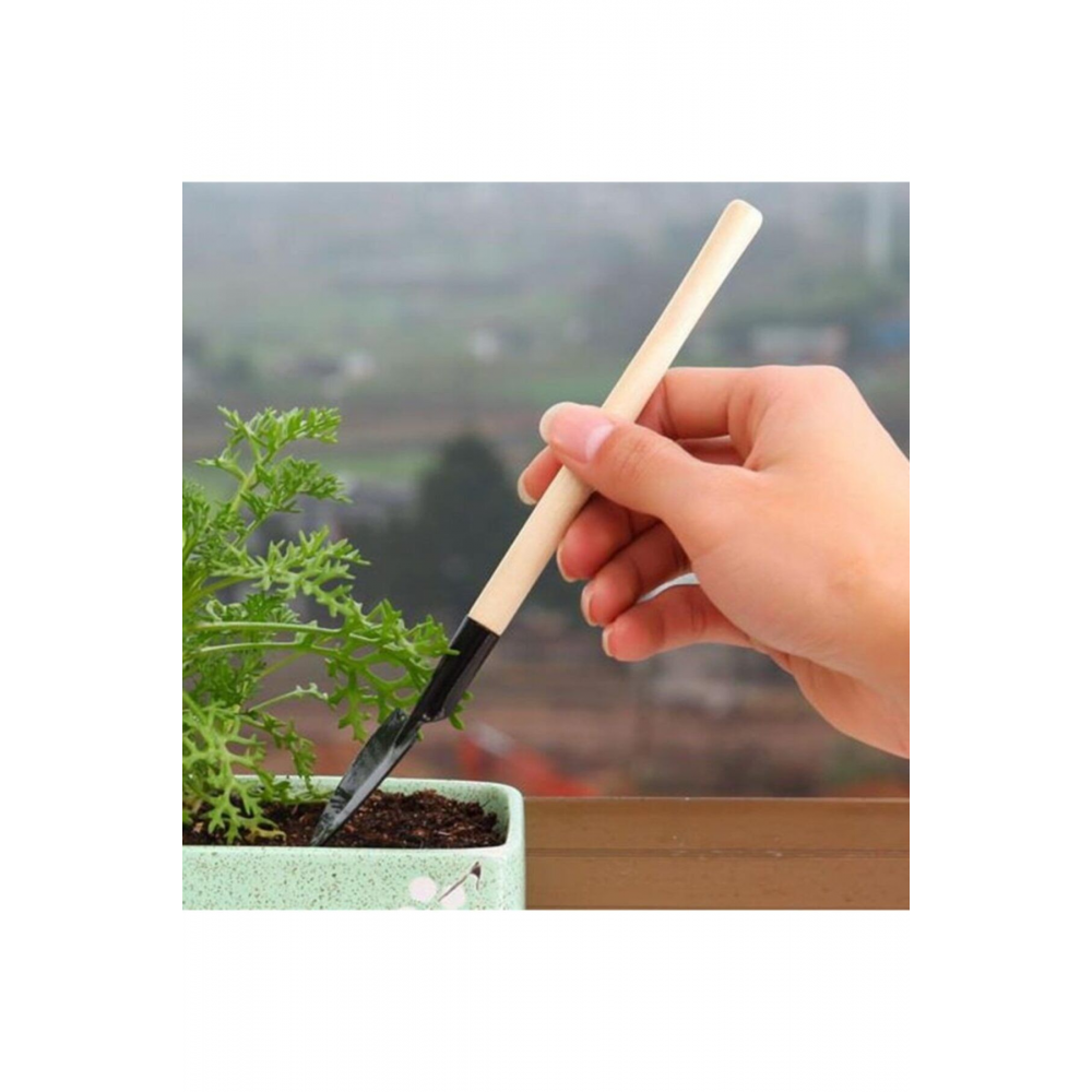 Wosso Mini Kürek Tırmık Seti