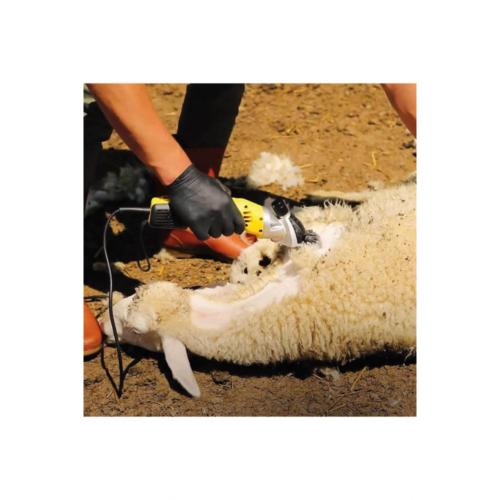 Rtm923 Elektrikli Koyun Kırkma Makinası 500 Watt