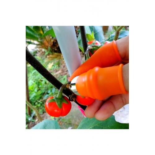 Tırnak Eldiven Baş Parmak Koruyucu Sebze Meyve Toplama Kesme Ayıklayıcı Aparatı Bahçe Makası