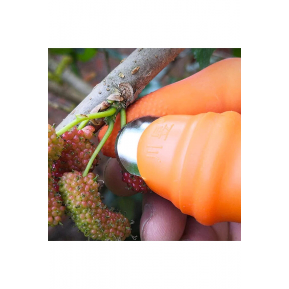 Tırnak Eldiven Baş Parmak Koruyucu Sebze Meyve Toplama Kesme Ayıklayıcı Aparatı Bahçe Makası