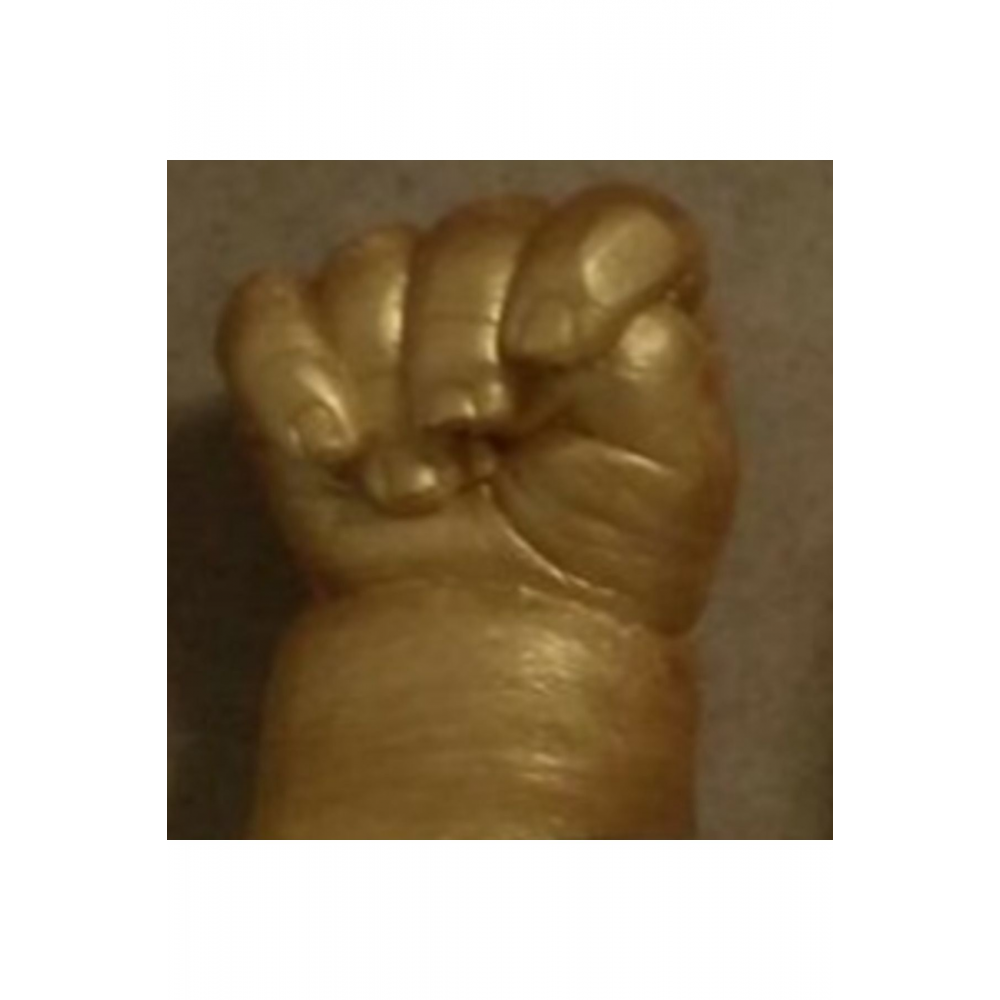 Altın Akrilik Yaldız Boyalı Aljinat Kalıp El Heykeli Kalıbı Tozu Ve 1 Kg Hızlı Donan Alçı