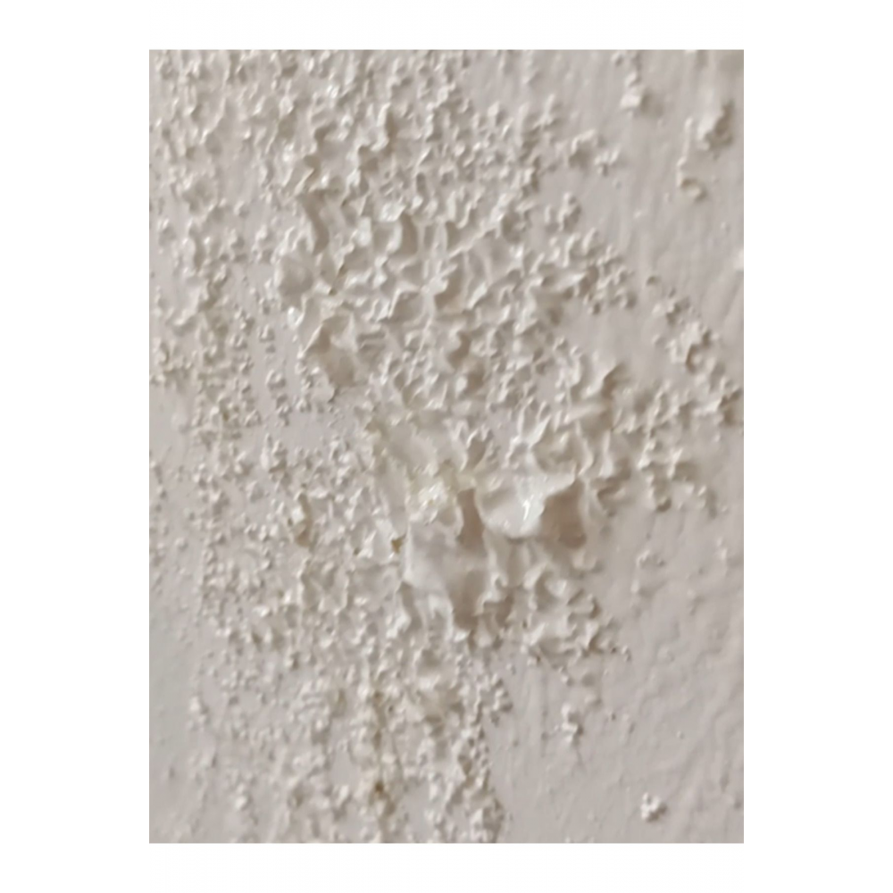 Ahşap Boya Sökücü