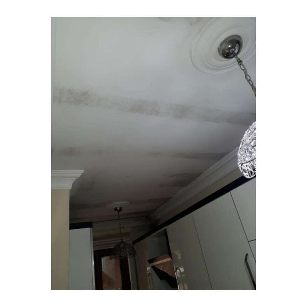 Beyaz Ms82 Nem ve Rutubet Boyası 1 kg