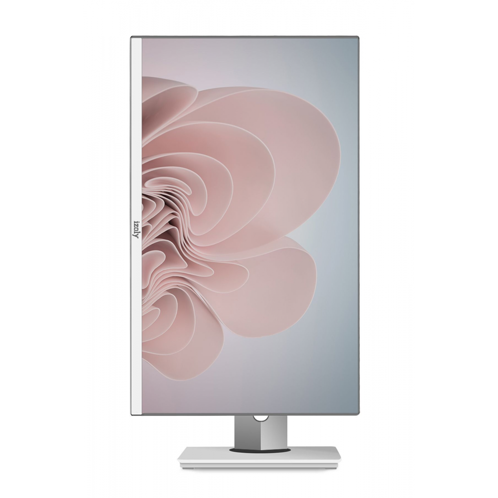 P301 I3-10100 8gb 256gb 24