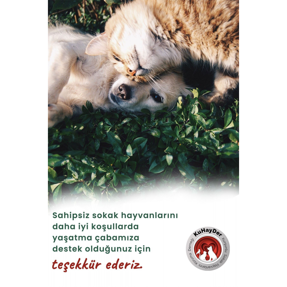 Minik Canlar Sokakta Dijital Destek Kartı