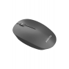 M221 Sessiz Kablosuz Wireless Mouse 2.4Ghz 1600 Dpi Siyah ( Usb alıcısı kapağın içindedir )