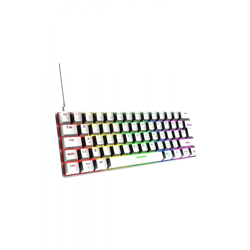 T60 Beyaz RGB Klavye Kablolu Gaming Oyuncu Klavyesi T60