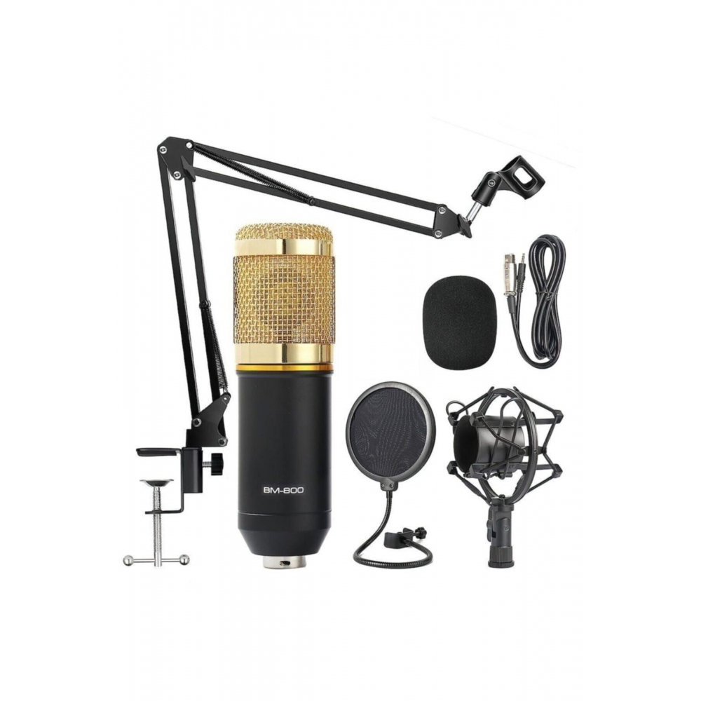 Bm800 Profesyonel Stüdyo Youtuber Kayıt Mikrofonu