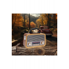 301 Eskitme Nostalji Tasarımlı Bluetoothlu Nostalji Radyo Fm-sd Kart-aux NSTJ000002001