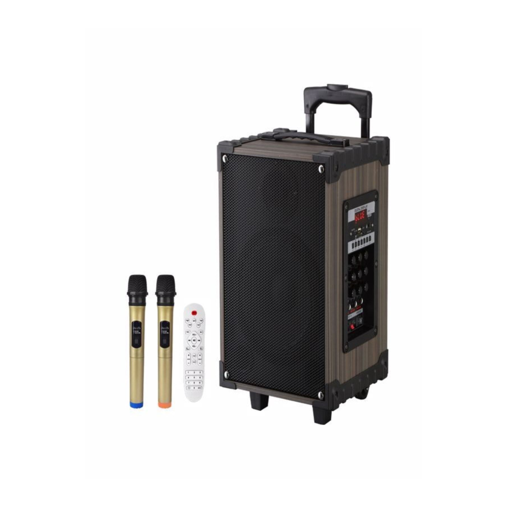 Lt-912 Süper Bass Şarjlı Çift Mikrofonlu Hoparlör Karaoke Sistemi 100w Taşınabilir Parti Box