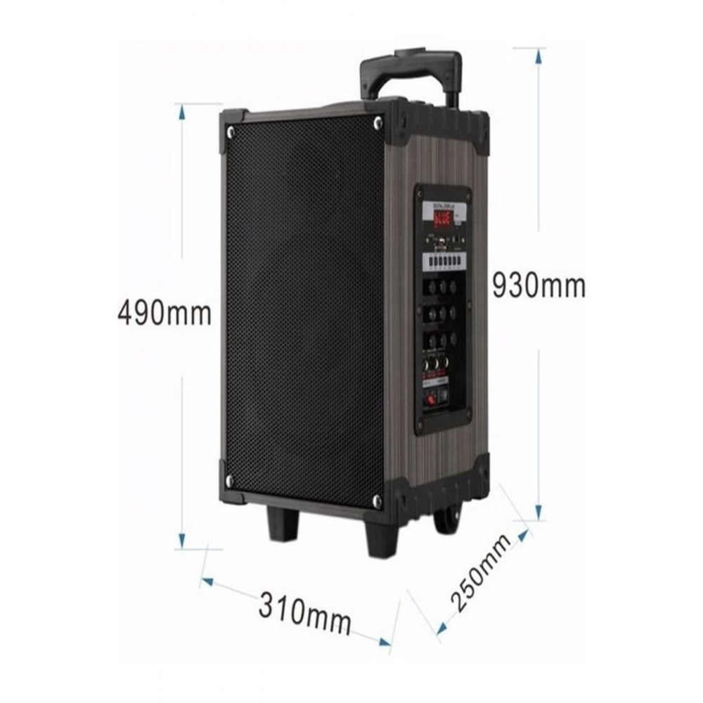 Şarjlı Kumandalı Çift Mikrofonlu Hoparlör Karaoke Sistemi 80 Watt Taşınabilir Amfi Hoparlör