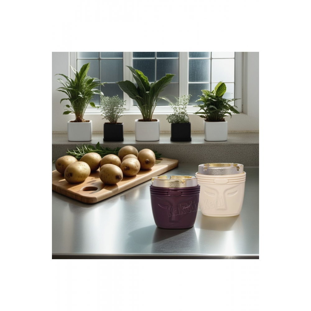 2 Adet Gold Kapaklı Kokusuz Küllük Seti