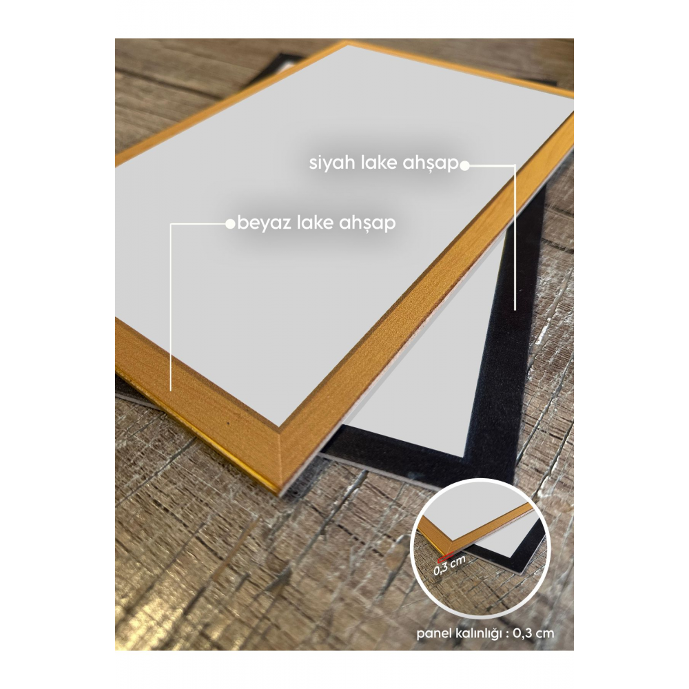 6 Parça Ahşap Çerçeve Görünümlü Dekoratif Hediyelik Boho Botanik Wall Art Mdf Tablo Seti