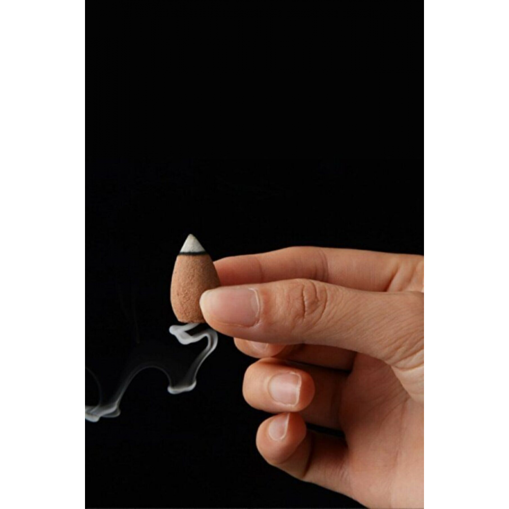 Himalaya Siyah Geri Akış Tütsülük / Oda Kokusu