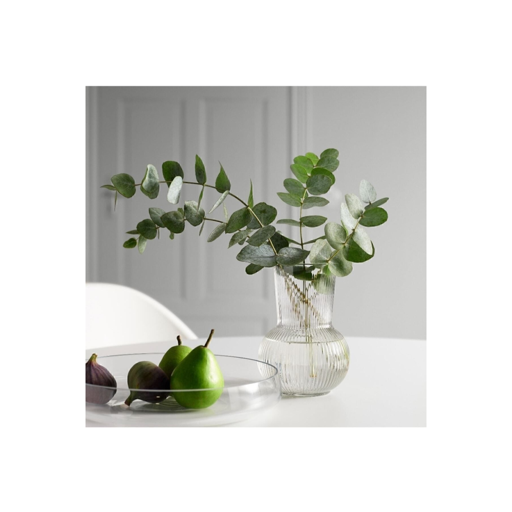 Padrag Dekoratif Vazp 17cm Cam