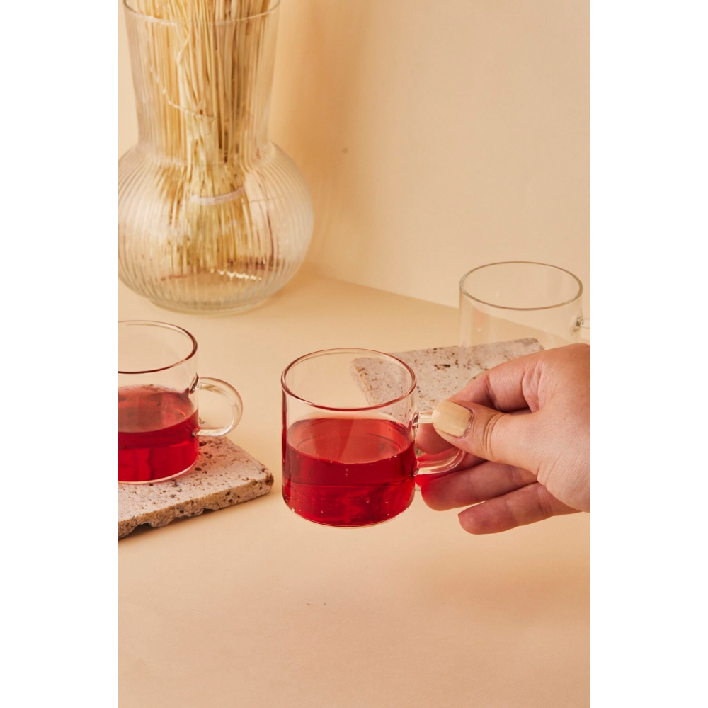 Dg3250 Fausto 6 Parça Borosilikat Mini Cam Kahve Ve Çay Kupası