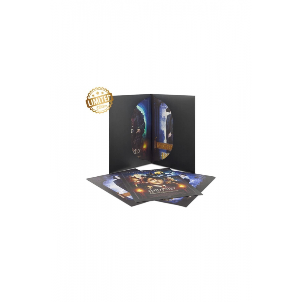 Harry Potter Ve Felsefe Taşı 20. Yıl Özel Poster Koleksiyonu