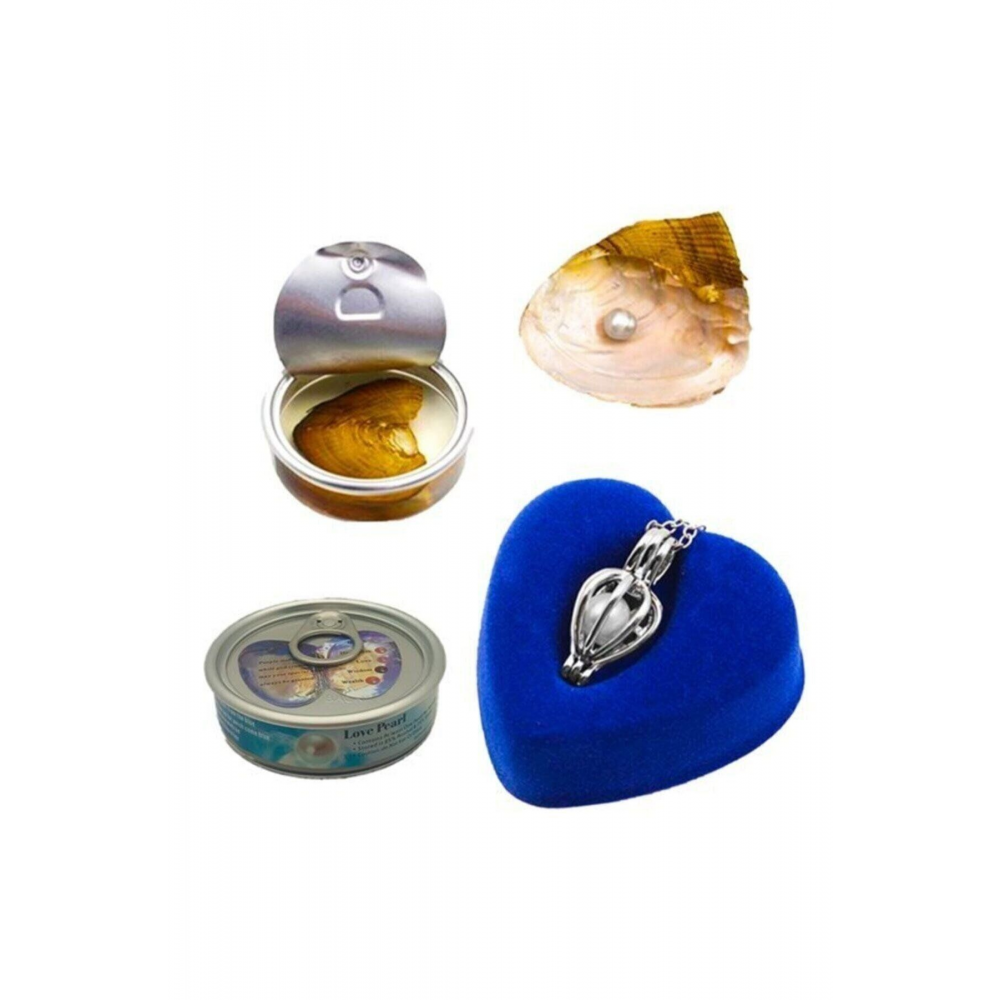 Özel Hediye Istiridye Içinde Gerçek Inci Kolye