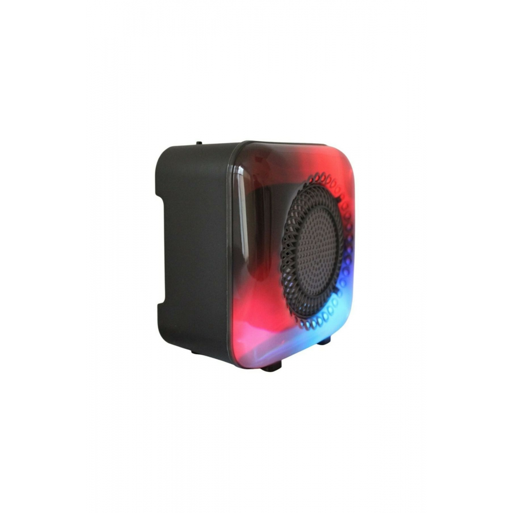 TİCARET GTS-1373 MÜZİK KUTUSU