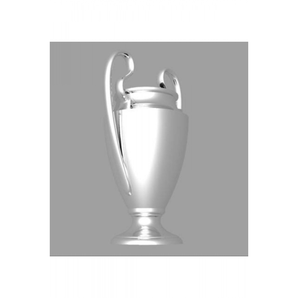 Uefa Şampiyonlar Ligi Kupası ( Dev Boy 600gr)