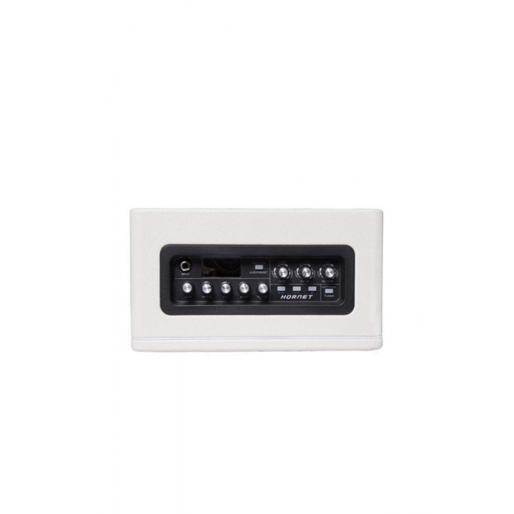 DH02 Hornet 15W Combo Gitar Amfisi