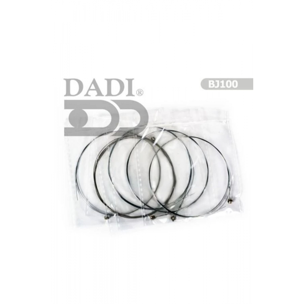 Banjo Takım Tel BJ100