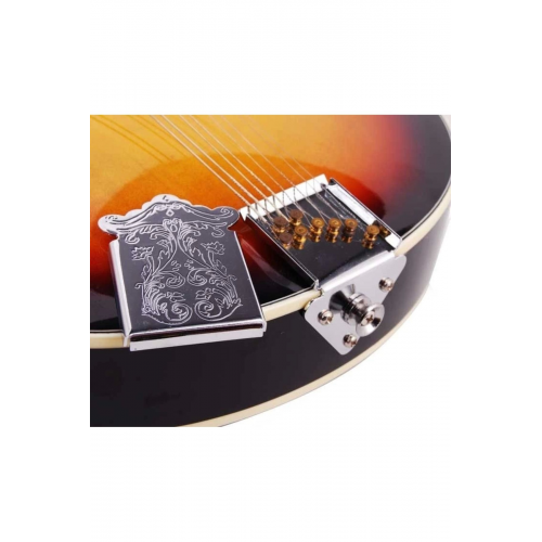 Enstrüman Kuyruğu (DİPLİK / KORDİYER) - Mtp2