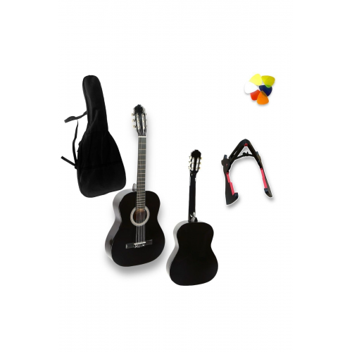 Cg390 Siyah Içten Sap Ayarlı Blake Gitar