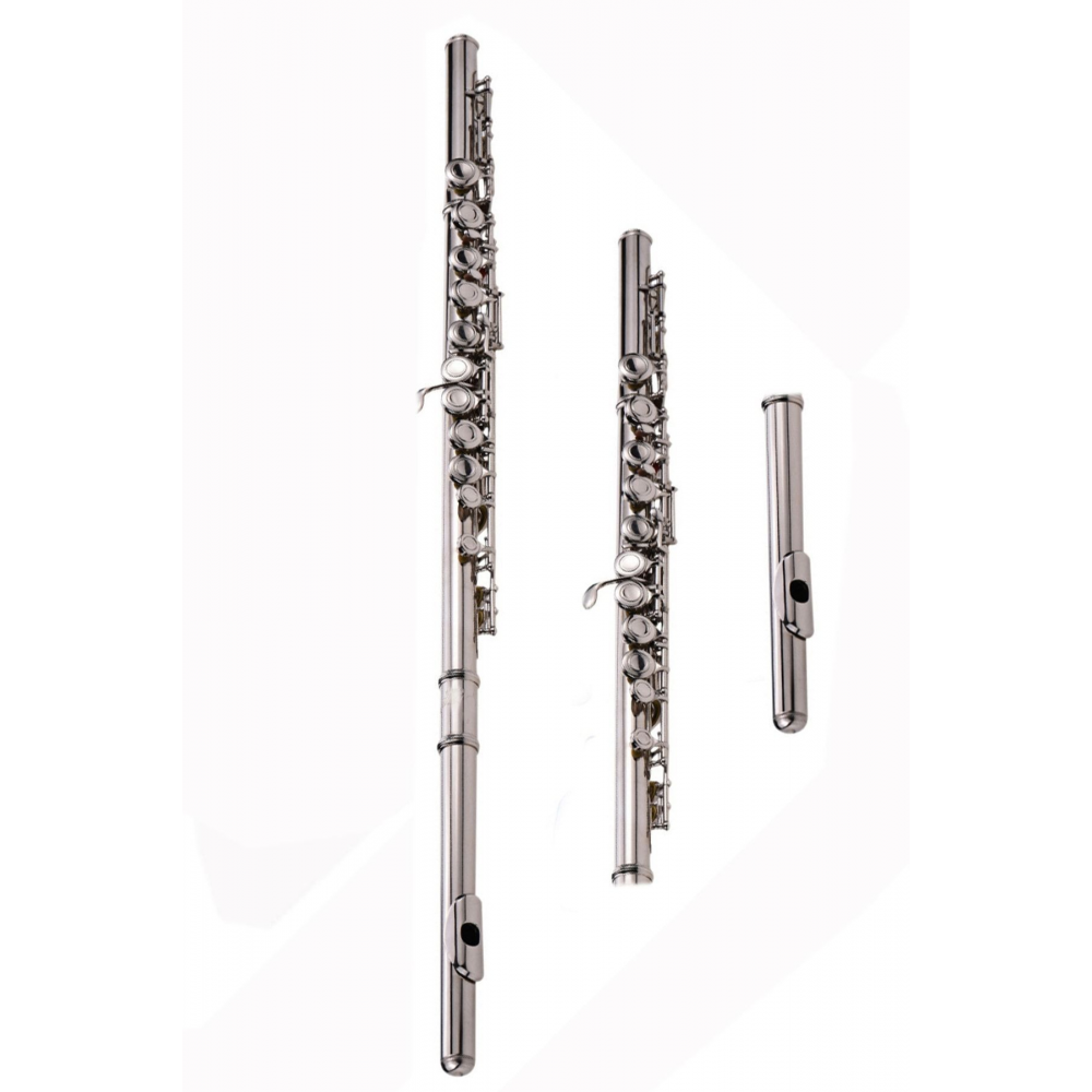 Gl 9000 Plus Yan Flüt