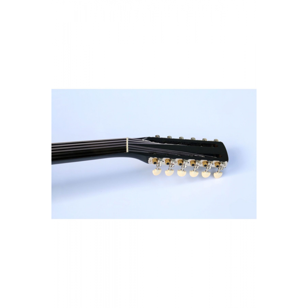 Profesyonel Anadolu Cümbüş