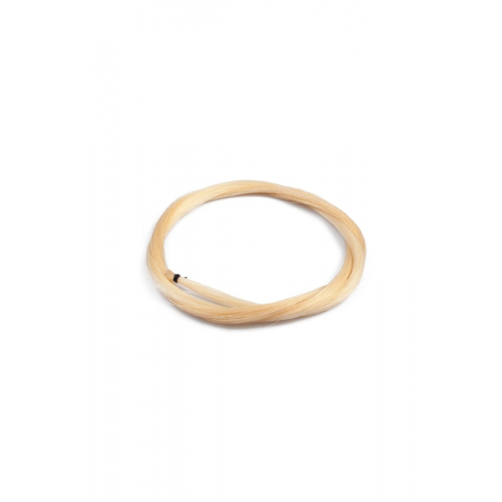 Keman Arşe At Kılı