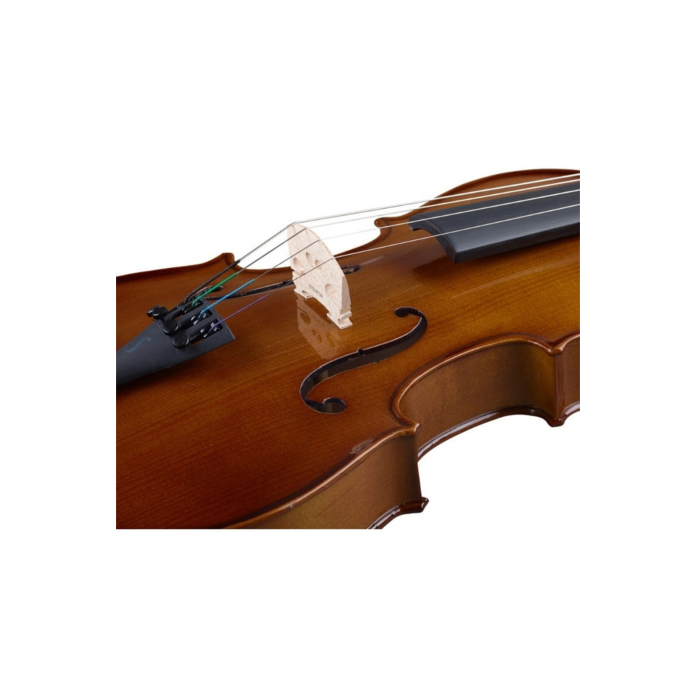 1038/m Student I Viyola (13 Inc - 330 Mm)