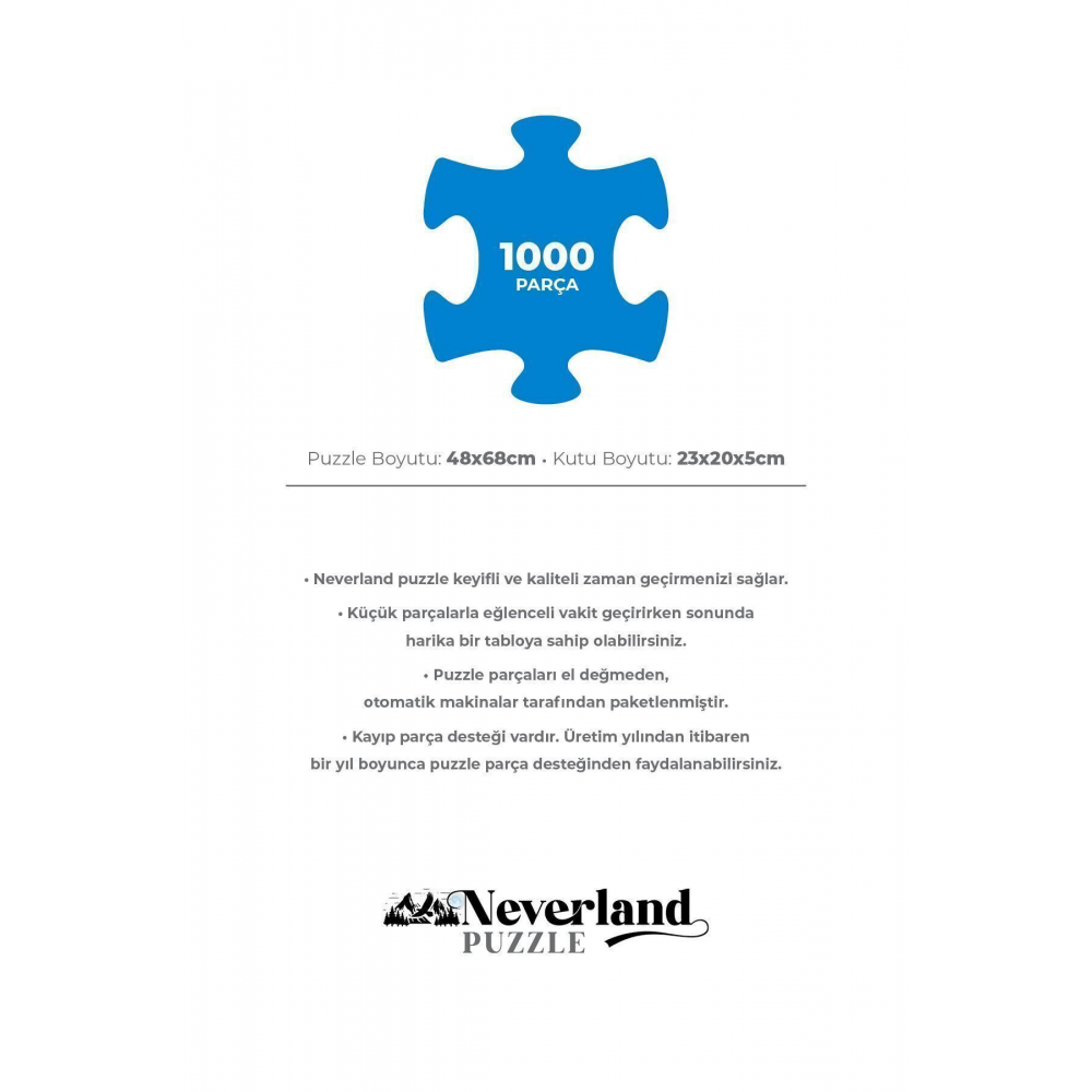 1000 Parça Puzzle - Fıre And Water (ATEŞ VE SU)