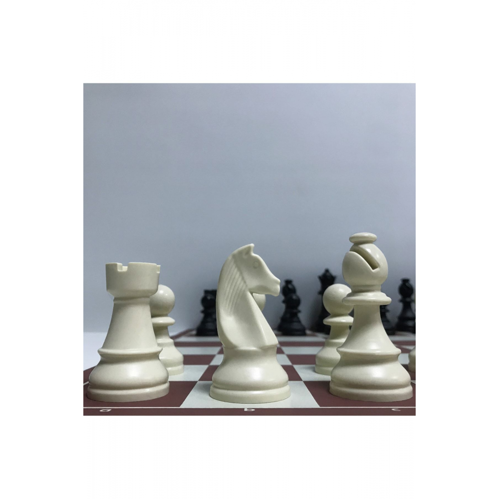 Profesyonel Satranç Takımı (95MM - AĞIRLIKLI - YEDEK VEZİRLİ)